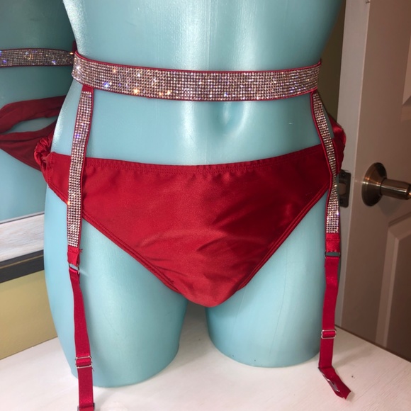 Victoria’s Secret Satin Bow Crystal Accent Push Up /Garter /Side Tie Cheeky NWT - Picture 4 of 10